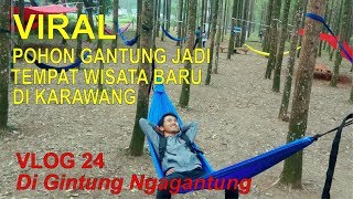 【 VLOG 】Hutan Kertas Karawang Di Gintung Ngagantung Wisata Baru di Karawang  VLOG 24 [upl. by Garmaise163]