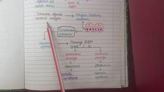 Post Streptococcal Glomerulonephritis [upl. by Paluas866]