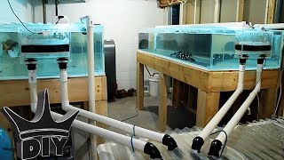 MONSTER DIY aquariums and fish UPDATE [upl. by Ebaj604]