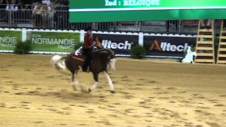 WEG 2014 Colonels Shining Gun [upl. by Akeret]