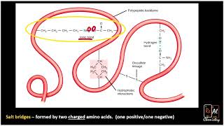 Side chain interactions and amino acids  Real Chemistry [upl. by Robson]