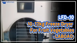 LFD10 1012kg Freeze Dryer For Fruit Vegetables  LABOAO [upl. by Yajet227]