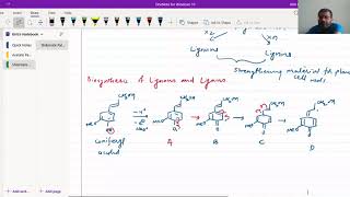 Biosynthesis of Lignins And Lignans [upl. by Jet]