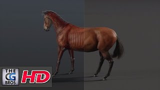 CGI amp VFX Demos quotHorse RampD Project  A Breakdownquot  by Lonnie Kraatz  TheCGBros [upl. by Euqirrne]