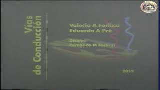 N5  Vías de conducción  Sistema sensitivo somático II  Anatomía 2  FMed UBA [upl. by Adriane226]