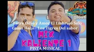 Pistav Mix Kaliente 1 Entre Odio y Amor El Embrujo Solo Como Hago Los Tigres Del sabor [upl. by Hock]