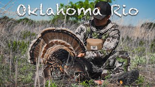 WE CHASED THIS TURKEY FOR MILES  Oklahoma Rio Turkey Hunting [upl. by Lipson339]