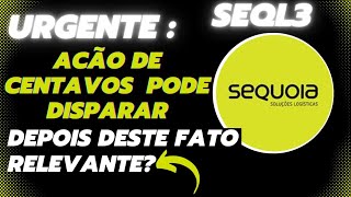 SEQL3 Sequoia Ação de centavos pode disparar depois desta notícia [upl. by Fiden]