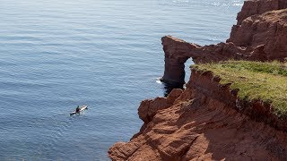 Sea Kayaking les Îles de la Madeleine Québec  Paddle Tales [upl. by Ahsaek514]