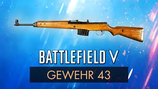 Battlefield 5 GEWEHR 43 REVIEW  BF5 Weapon Guide BFV [upl. by Adnohsed]