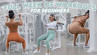 FULL WEEK OF WORKOUTS FOR BEGINNERS AT THE GYM [upl. by Irrek]