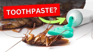 Stop Cockroaches Naturally  Proven Methods to Prevent Cockroach Infestation in Your Home [upl. by Ahsirek]