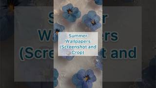 Summer Wallpapers [upl. by Onailimixam]