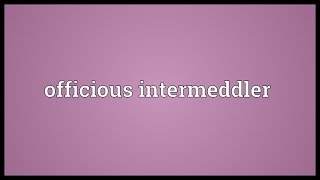 Officious intermeddler Meaning [upl. by Taam930]