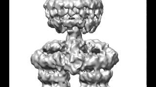 The first structure of a Type IV secretion system [upl. by Nolra]