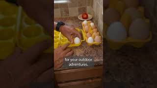 Why NOT Refrigerate Chicken Coop Eggs Right Away [upl. by Llerad]