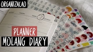 Dicas de Organização MEU NOVO PLANNER Molang Diary [upl. by Misa567]