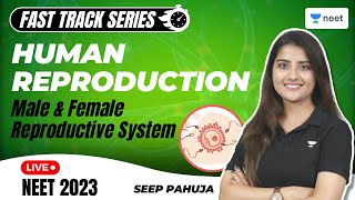 Human Reproduction  Male and Female Reproductive System  Biology  NEET 2023  Seep Pahuja [upl. by Venita]