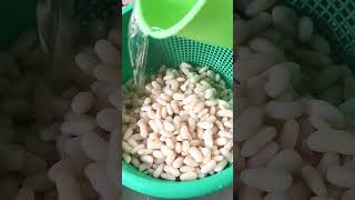 Minatamis na Beans recipe  dessert pinoy fyp beans food shorts [upl. by Ed]