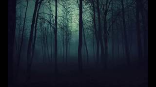 Fear of Darkness Nyctophobia Test with creepy music [upl. by Anima941]