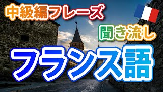 【中級編No1】初級よりちょっと難しい！挑戦あるのみ・フランス語リスニング 36 [upl. by Stortz635]