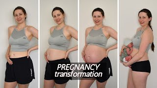 PREGNANCY TRANSFORMATION  Week By Week Progress [upl. by Selym470]