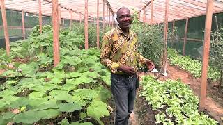 PERSPECTIVE DE DEVELOPPEMENT DE LAGRICULTURE AU GABON PAR L EM GABONUNIVERSITE [upl. by Felten]