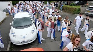 Blue Oss Padstow Cornwall UK 2024 [upl. by Sabelle570]