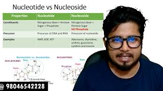 Difference between nucleotide and nucleoside  Nucleotide vs nucleoside [upl. by Neelrac]