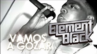 Element Black  Vamos a Goza Official Audio [upl. by Nyletac]