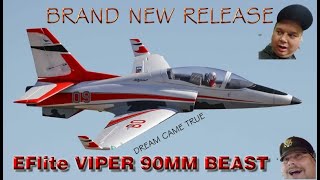 Lesson Learned FlyingLanding RC EDF Jet Eflite Viper 90mm   8HrToGo [upl. by Zelten]