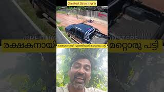 രക്ഷകനായി മറ്റൊരു പട്ടി 😍motivation automobile accidentnews thar car malayalam viralvideo [upl. by Adda]