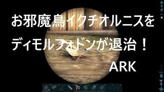 【ARK】お邪魔鳥イクチオルニスをディモルフォドンで撃退できる？！Repel Ichthyornis 公式PvE【泥棒】【対策】 [upl. by Sperling750]