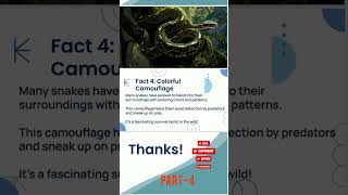 snake snakelife shorts viral facts snake facts amazing venom scie biology insects [upl. by Innus]