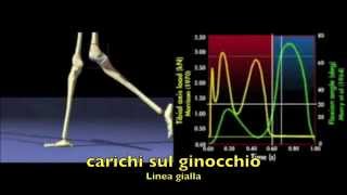 Analisi della deambulazione  carichi sul ginocchio [upl. by Adamo71]