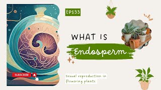 What is Endosperm Sexual reproduction in flowering plants LearnQuest [upl. by Roddie305]