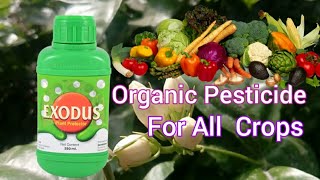 Exodus  ORGANIC PESTICIDES FOR ALL CROPS  PEST AND FUNGUS MANAGEMENT AND GROWTH REGULATOR [upl. by Benedetta512]