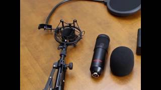 ZY 801 Condenser Microphone [upl. by Maurreen]