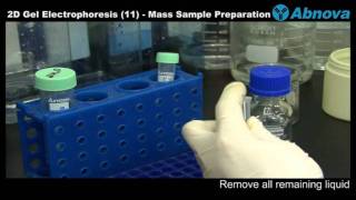 2D Gel Electrophoresis 11 Mass Sample Preparation [upl. by Kcirredal]