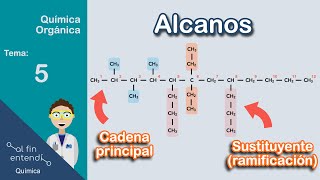 NOMENCLATURA de alcanos de forma lógica [upl. by Greenquist266]