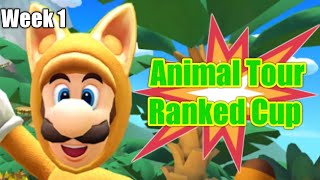 Mario Kart Tour  Animal Tour Ranked Cup 2022 Week 1 [upl. by Nellad]