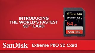 SPEED TEST Sandisk UHSI Extreme Pro VS Lexar 1667x SD UHSII Card  Results will surprise you [upl. by Naliorf]