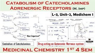 Adrenergic receptors  catabolism of catecholamines  synthesis amp release  L3 U2  medichem 1 4th [upl. by Leahcar]