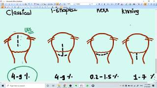 INCISIONS TYPES IN CESAREAN SECTIONS [upl. by Stafford]