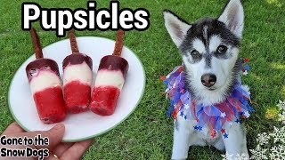 Patriotic Fruit Popsicle For Dogs  DIY Frozen Dog Treats 120  Pupsicle [upl. by Kcinomod]