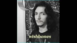 wishbones [upl. by Dragone]