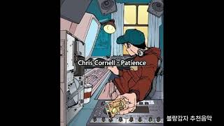 Chris Cornell  Patience [upl. by Gio]