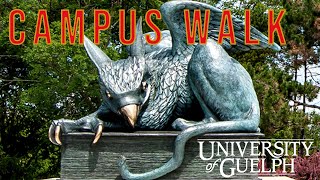 UNIVERSITY OF GUELPH CAMPUS WALK [upl. by Gnoc636]