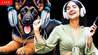 RHODES LIVE Puppies and Fun Music 🐶🎶 [upl. by Akym]