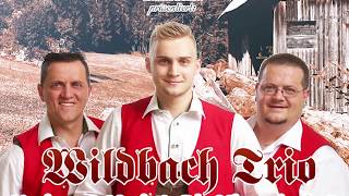 Wildbach Trio  Steirische Gmiat  Gasthaus Mosbacher [upl. by Aneeles334]